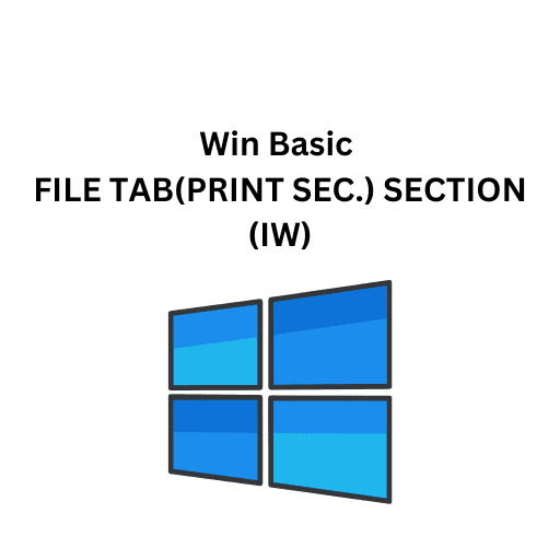 Win Basic 19. FILE TAB(PRINT SEC.) SECTION (IW)